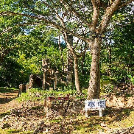Canton Suisse Martinique Treehouseヴィラ エクステリア 写真
