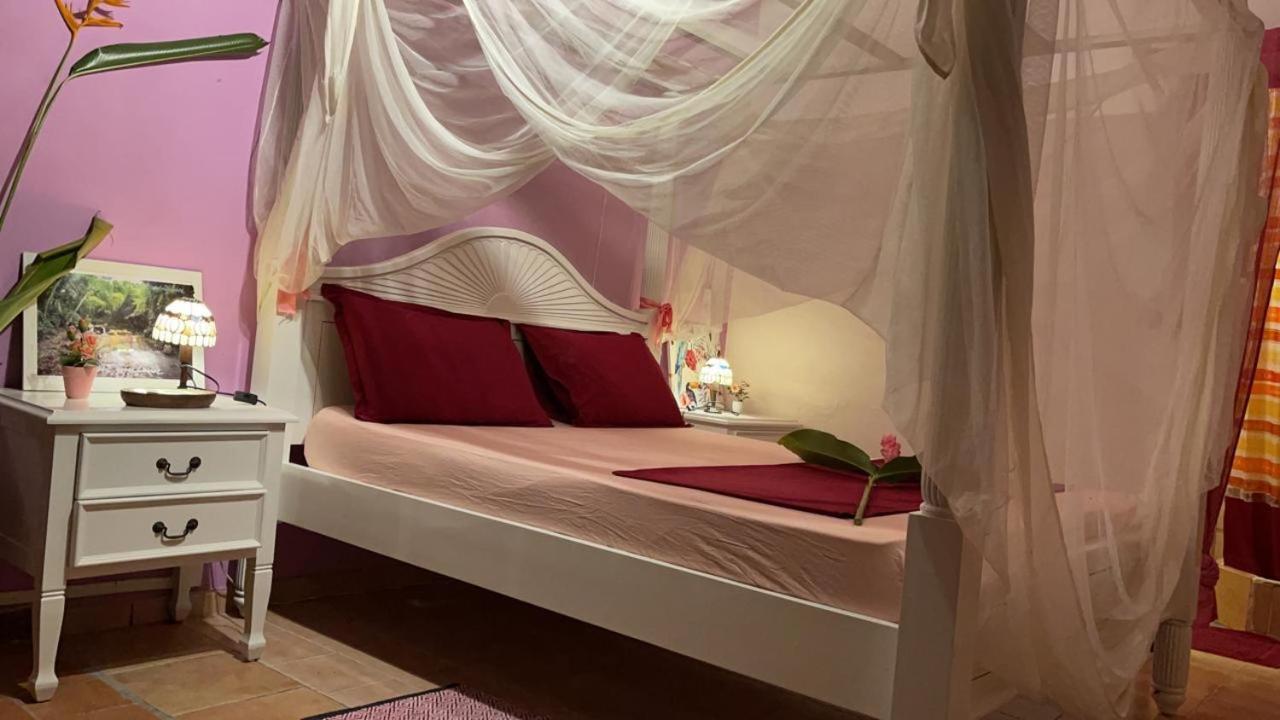Canton Suisse Martinique Treehouseヴィラ エクステリア 写真