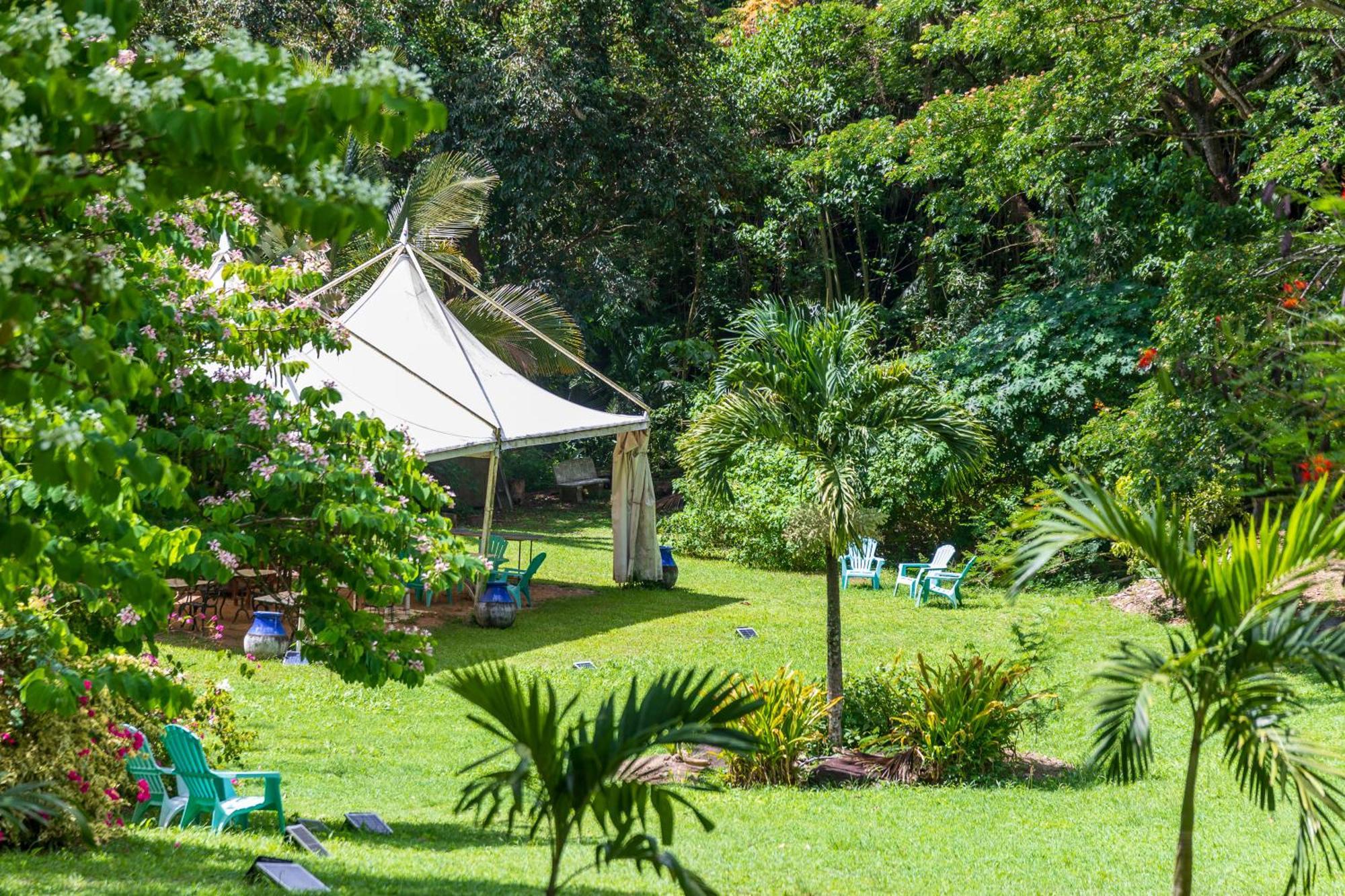 Canton Suisse Martinique Treehouseヴィラ エクステリア 写真