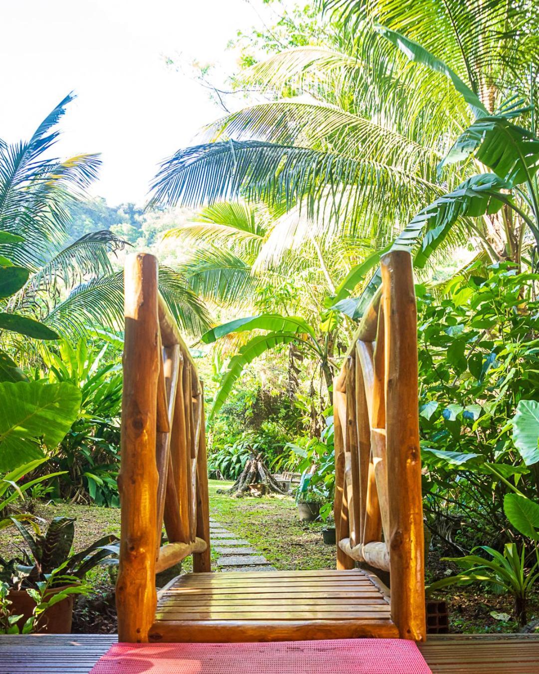 Canton Suisse Martinique Treehouseヴィラ エクステリア 写真