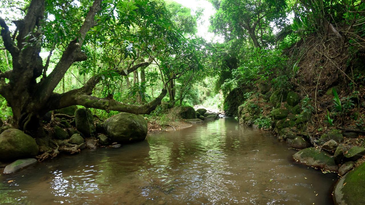 Canton Suisse Martinique Treehouseヴィラ エクステリア 写真