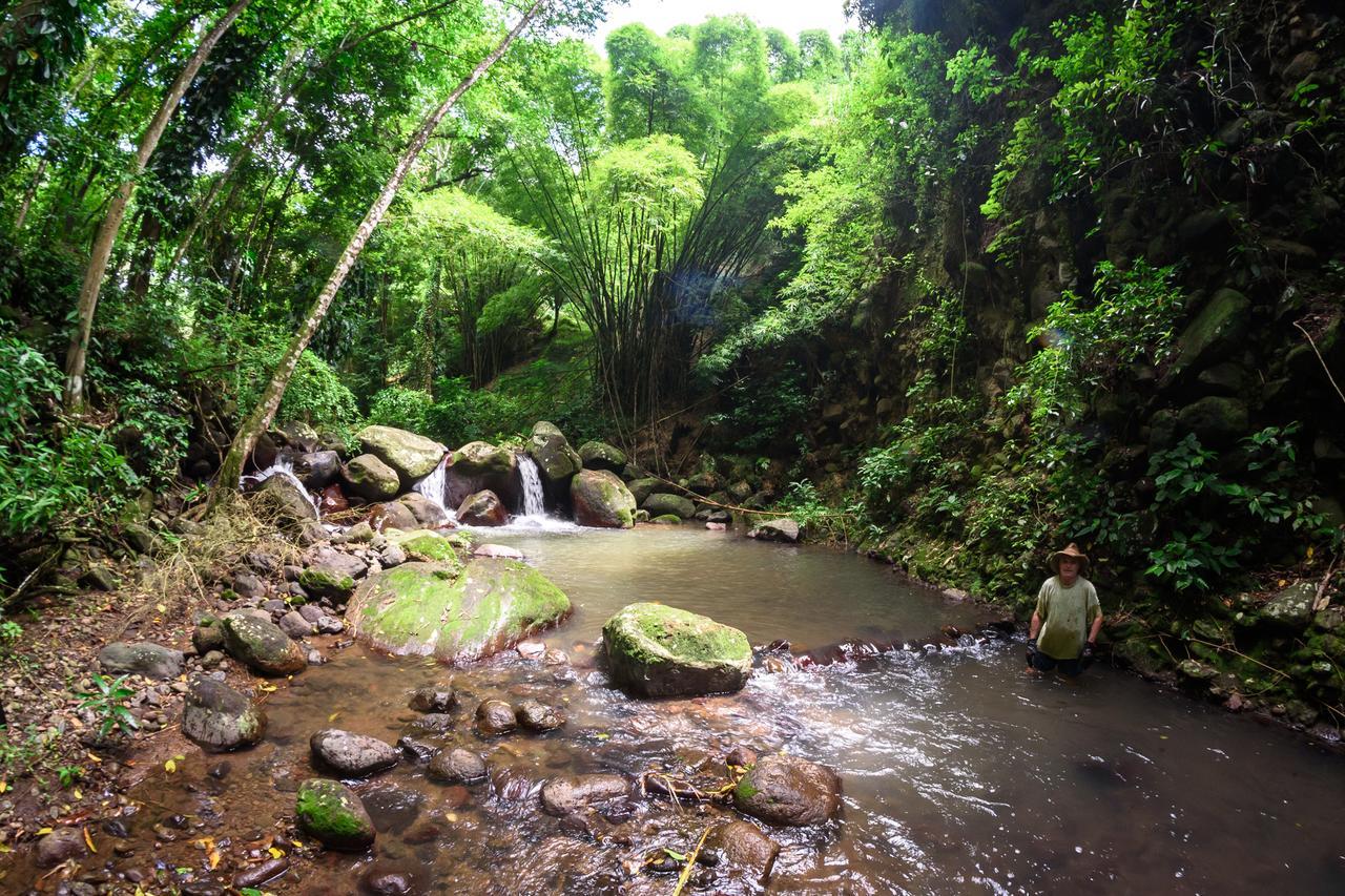 Canton Suisse Martinique Treehouseヴィラ エクステリア 写真