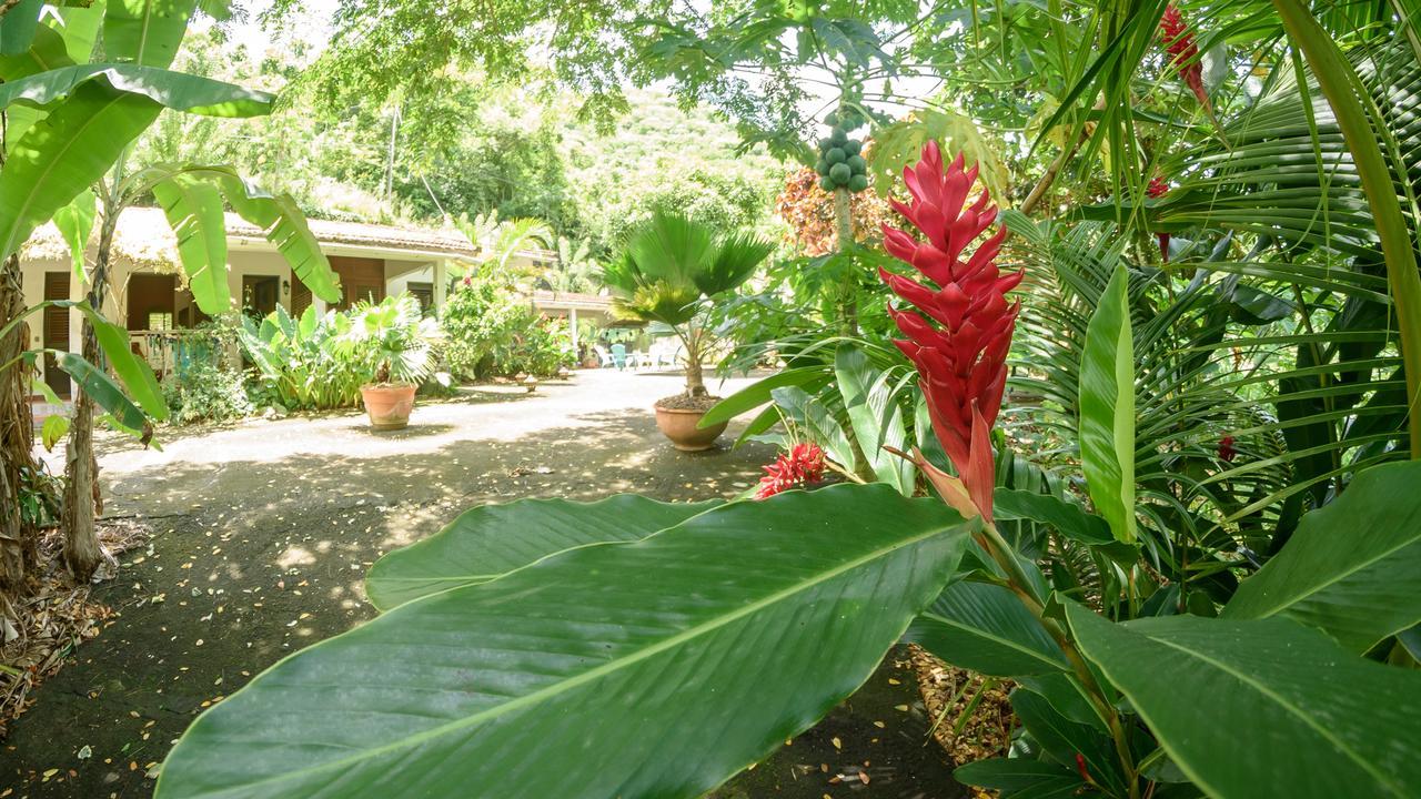 Canton Suisse Martinique Treehouseヴィラ エクステリア 写真