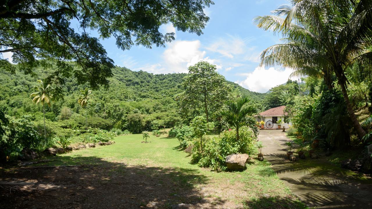 Canton Suisse Martinique Treehouseヴィラ エクステリア 写真