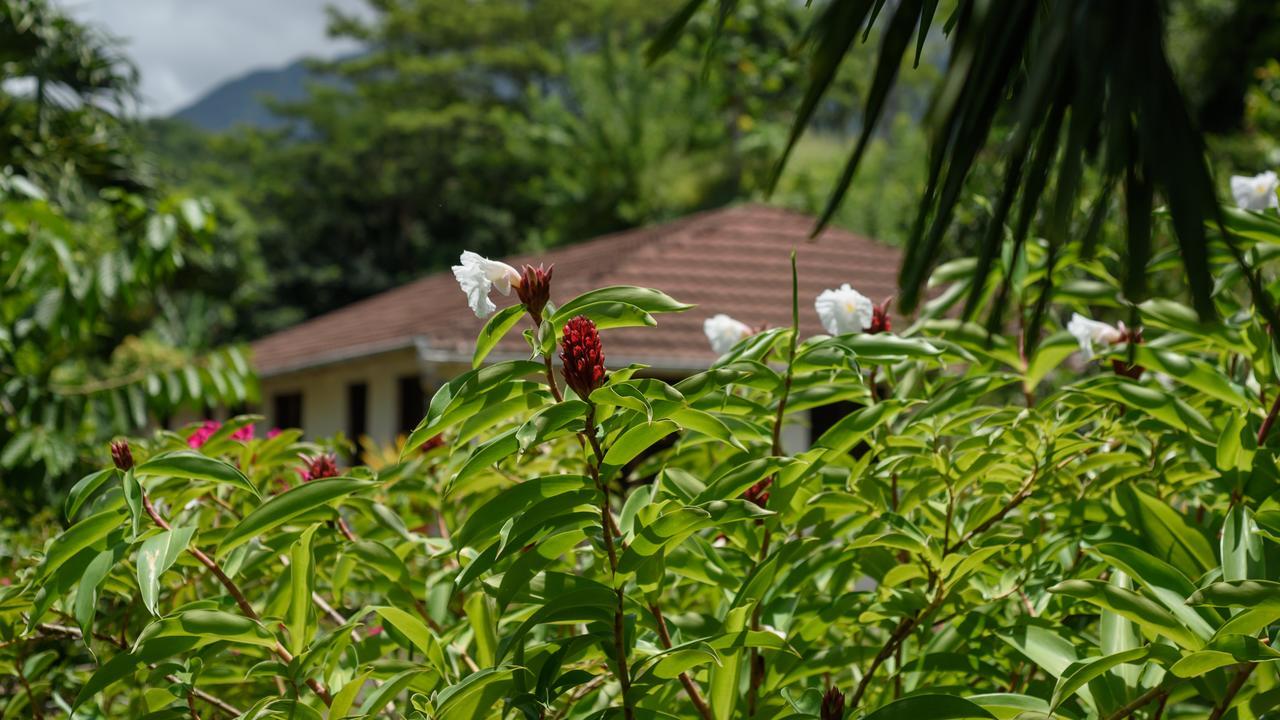 Canton Suisse Martinique Treehouseヴィラ エクステリア 写真