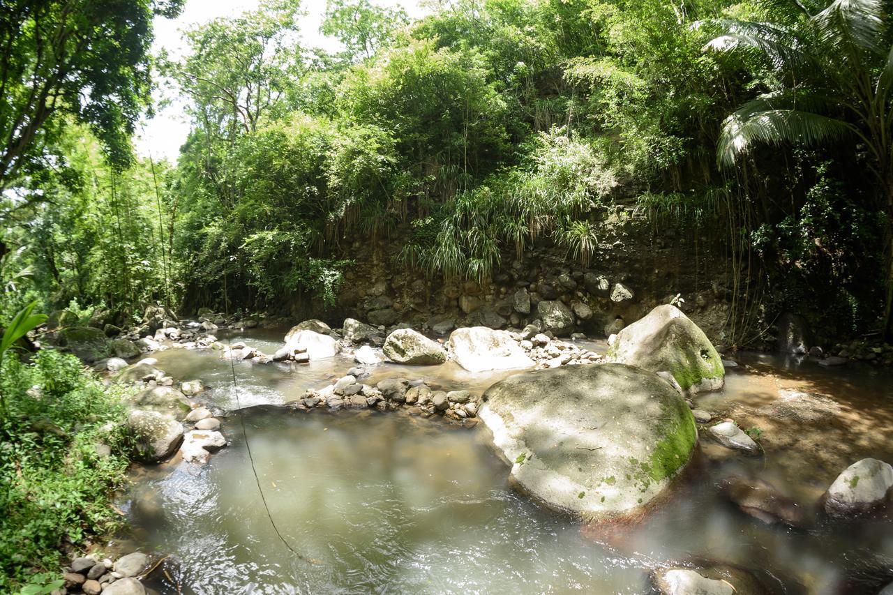 Canton Suisse Martinique Treehouseヴィラ エクステリア 写真