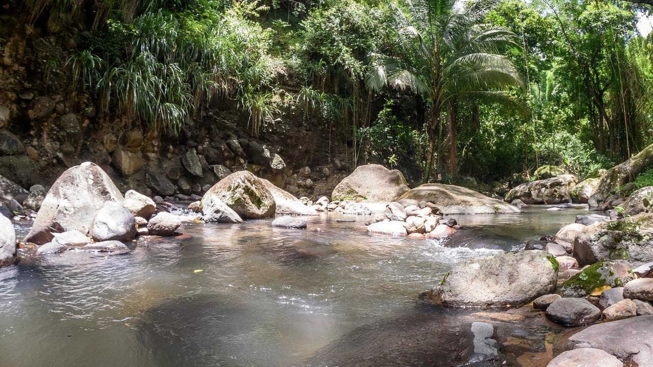 Canton Suisse Martinique Treehouseヴィラ エクステリア 写真