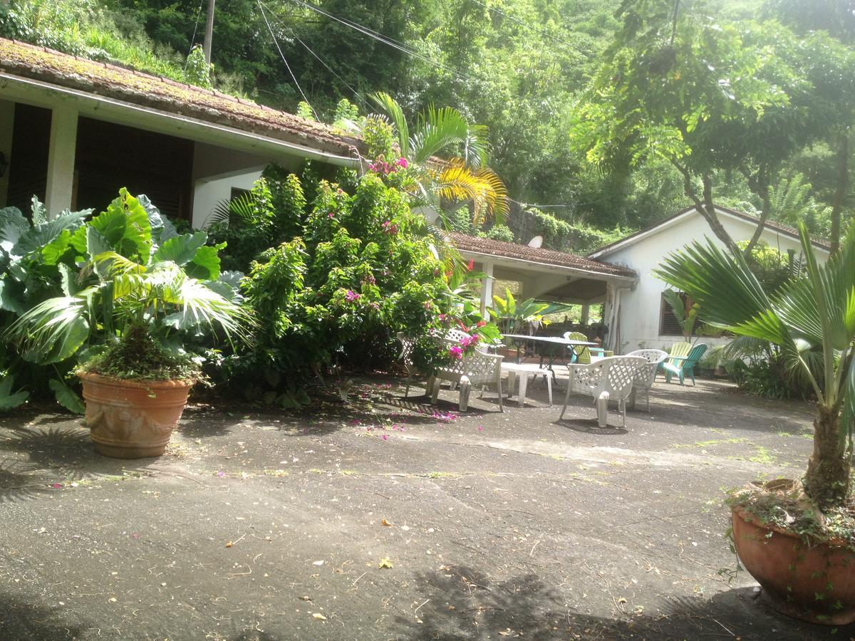 Canton Suisse Martinique Treehouseヴィラ エクステリア 写真