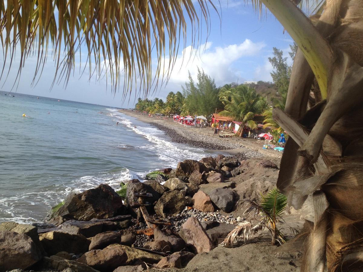 Canton Suisse Martinique Treehouseヴィラ エクステリア 写真