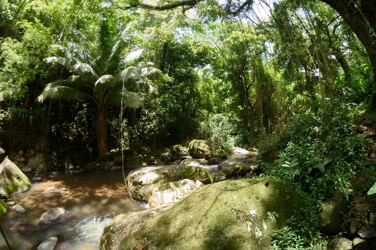 Canton Suisse Martinique Treehouseヴィラ エクステリア 写真
