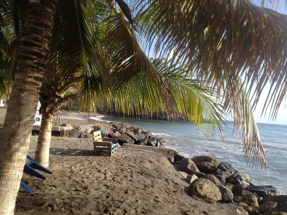 Canton Suisse Martinique Treehouseヴィラ エクステリア 写真