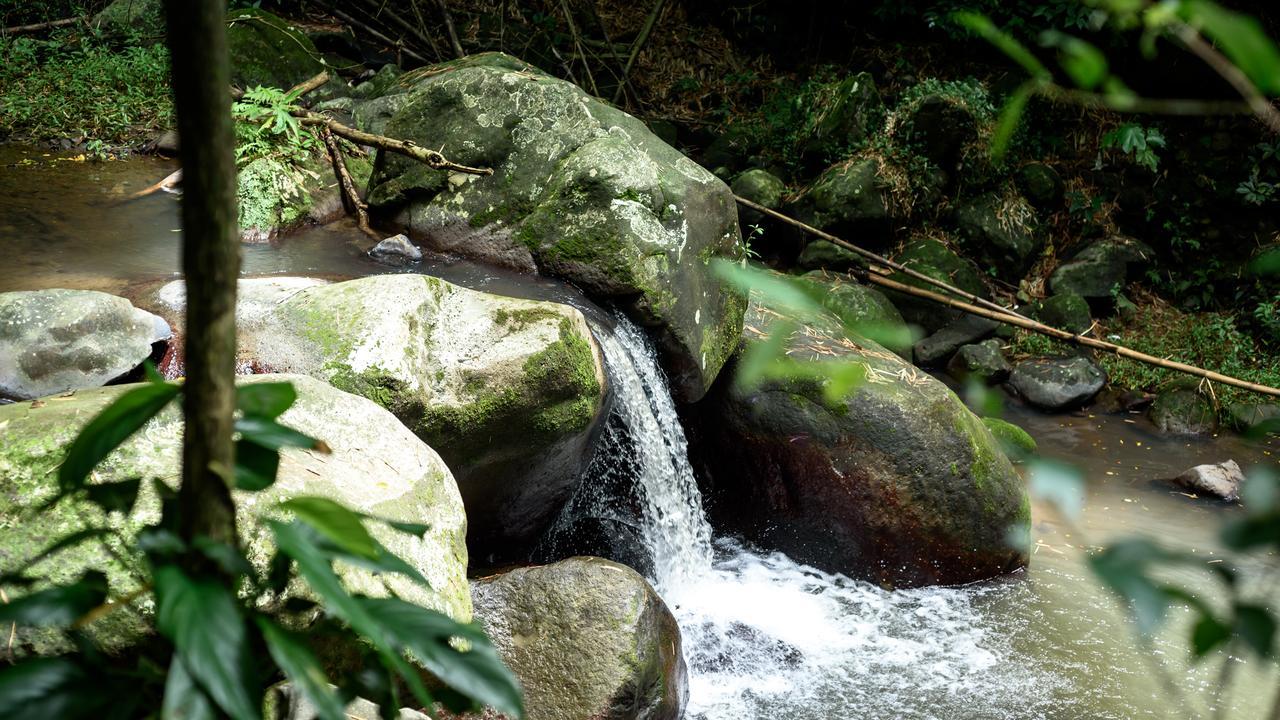 Canton Suisse Martinique Treehouseヴィラ エクステリア 写真