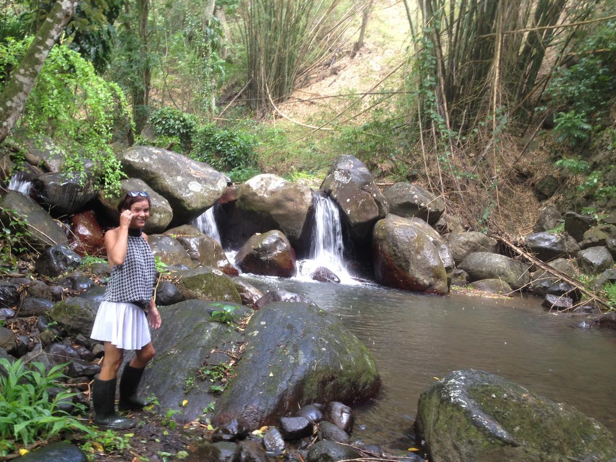 Canton Suisse Martinique Treehouseヴィラ エクステリア 写真