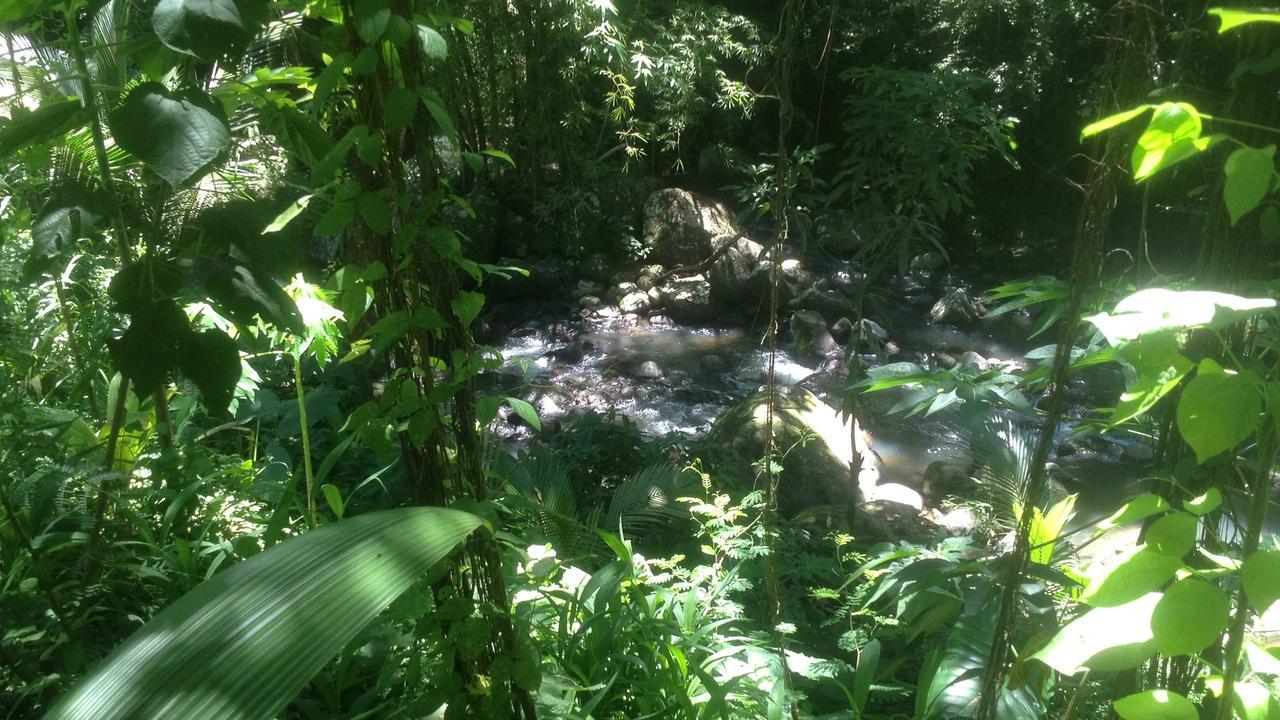 Canton Suisse Martinique Treehouseヴィラ エクステリア 写真