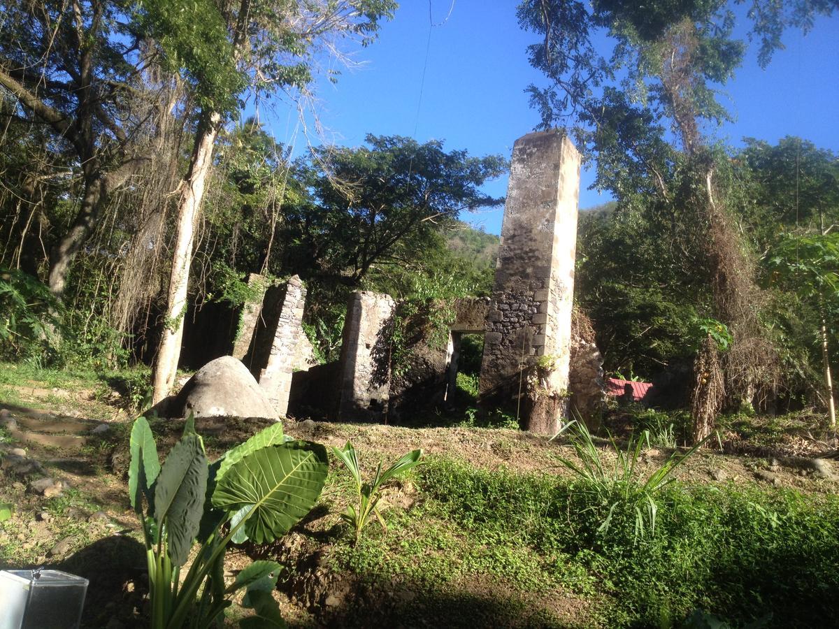 Canton Suisse Martinique Treehouseヴィラ エクステリア 写真