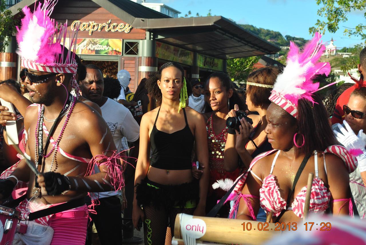 Canton Suisse Martinique Treehouseヴィラ エクステリア 写真