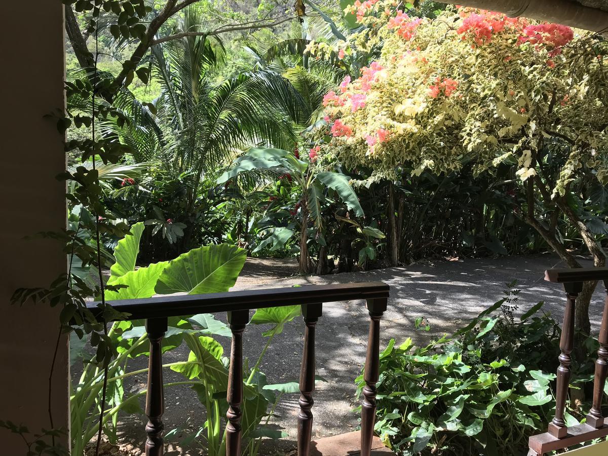 Canton Suisse Martinique Treehouseヴィラ エクステリア 写真