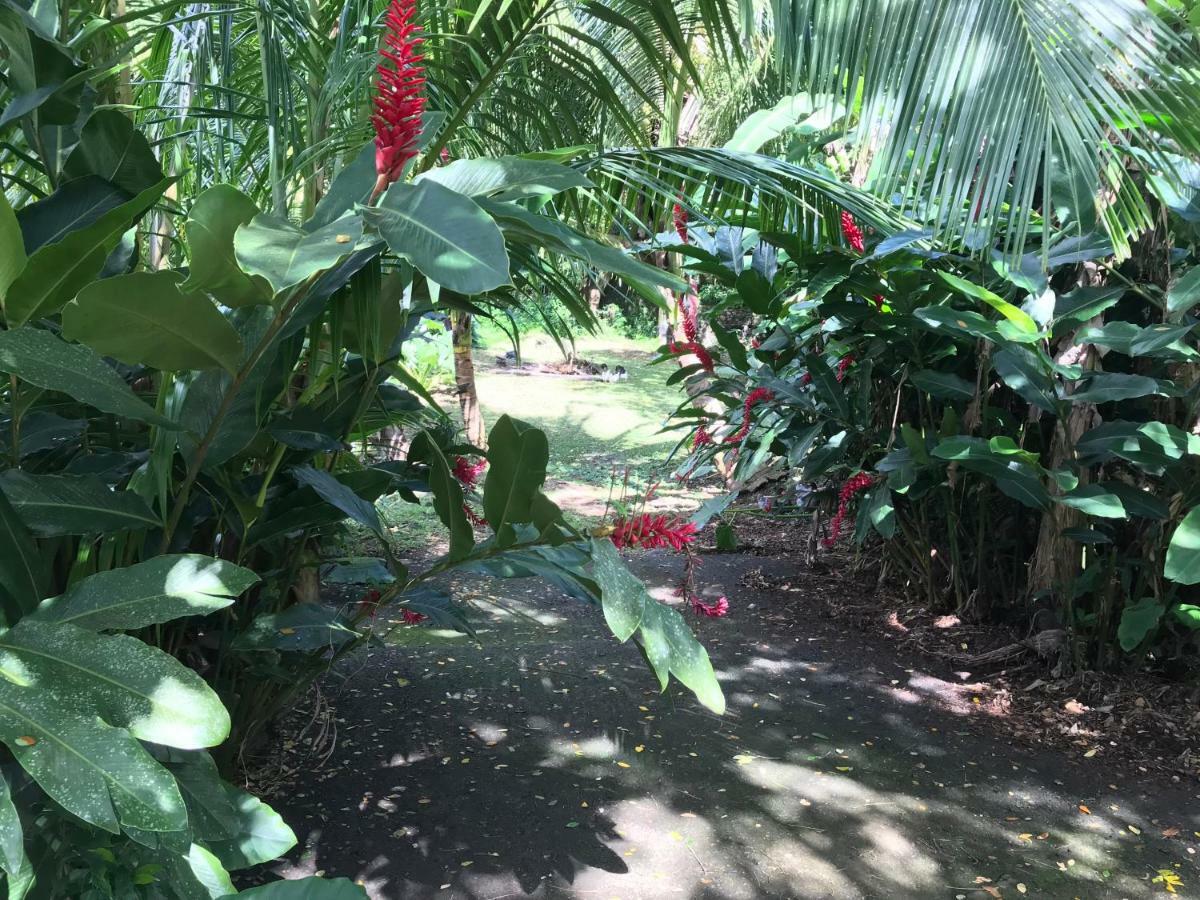 Canton Suisse Martinique Treehouseヴィラ エクステリア 写真